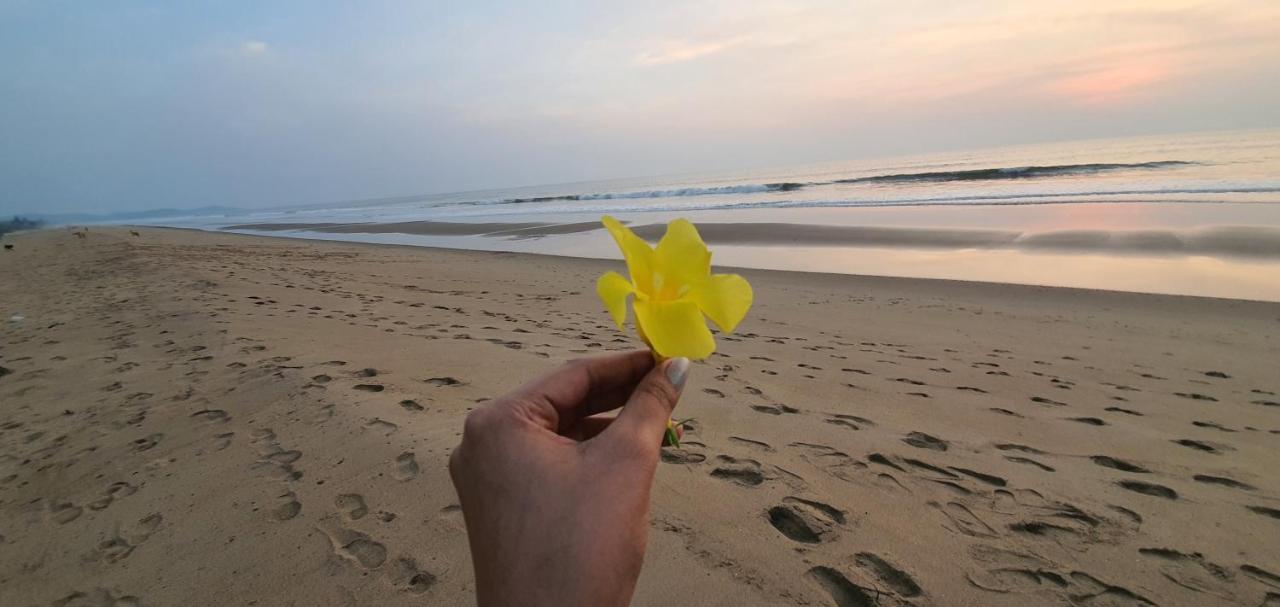 Blue Lagoon Beach Resort Gokarna  Kültér fotó
